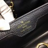 LOUIS VUITTON CAPUCINES 3663