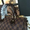 Louis Vuitton SPEEDY 25 3205