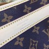 Louis Vuitton DOG CARRIER 40