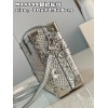 Louis Vuitton Petite Malle Python Silver Leather N80113 Bag