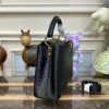 Louis Vuitton Capucines Black Ostrich leather PM/MM bag