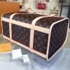 Louis Vuitton DOG CARRIER 40