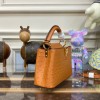 Louis Vuitton Capucines Brown Ostrich leather mini bag