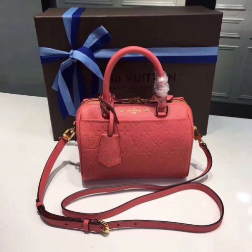 LOUIS VUITTON SPEEDY 20 3813