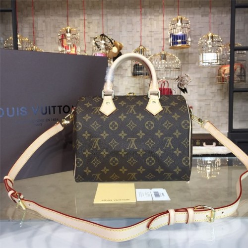 LOUIS VUITTON SPEEDY 25 3219