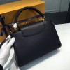 LOUIS VUITTON CAPUCINES 3663
