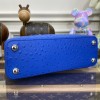 Louis Vuitton Capucines Blue Ostrich leather PM/MM bag