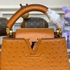 Louis Vuitton Capucines Brown Ostrich leather mini bag