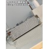 Louis Vuitton Petite Malle Python Silver Leather N80113 Bag