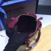 LOUIS VUITTON SPEEDY 20 3819