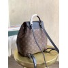 Louis Vuitton MONTSOURIS PM BACKPACK M45515