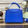 Louis Vuitton Capucines Blue Ostrich leather PM/MM bag