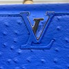 Louis Vuitton Capucines Blue Ostrich leather PM/MM bag
