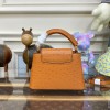 Louis Vuitton Capucines Brown Ostrich leather mini bag