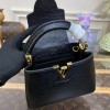 Louis Vuitton Capucines Black Ostrich leather mini bag