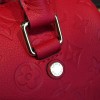 Louis Vuitton SPEEDY 25 3207