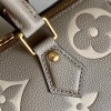 Louis Vuitton Speedy Bandoulière Bicolour 25