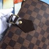 LOUIS VUITTON SPEEDY 30 3119
