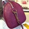 Louis Vuitton SPEEDY 25 3213