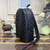 Louis Vuitton Armand Backpack