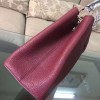 LOUIS VUITTON CAPUCINES 3454