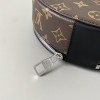 Lou9is Vuitton Audio Case Bag