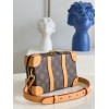 Louis Vuitton SOFT TRUNK Blurry Monogram canvas bag