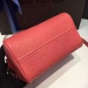 LOUIS VUITTON SPEEDY 20 3813