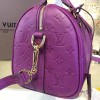 Louis Vuitton SPEEDY 25 3209