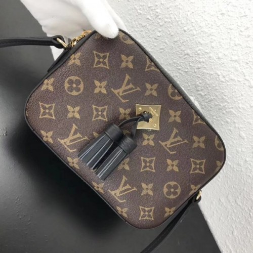 Louis Vuitton Monogram SAINTONGE M43555