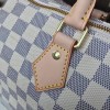 Louis Vuitton SPEEDY 25 3206