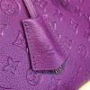 LOUIS VUITTON SPEEDY 30 3116