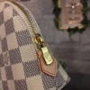 Louis Vuitton pouch 3243
