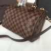 Louis Vuitton SPEEDY 25 3205