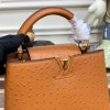 Louis Vuitton Capucines Brown Ostrich leather PM/MM bag