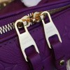 Louis Vuitton SPEEDY 25 3209
