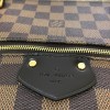 Louis Vuitton Iena Damier Ebene MM