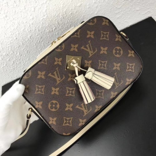 Louis Vuitton Monogram SAINTONGE M43559