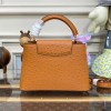 Louis Vuitton Capucines Brown Ostrich leather PM/MM bag