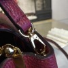 Louis Vuitton CAPUCINES 3459