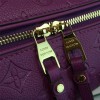 LOUIS VUITTON SPEEDY 30 3116