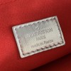 LV Coussin Small Bag in silver