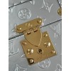 Louis Vuitton camera box silver