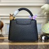 Louis Vuitton Capucines Black Ostrich leather PM/MM bag