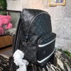 Louis Vuitton APOLLO Backpack M43408