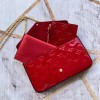 Louis Vuitton POCHETTE FELICIE M61293