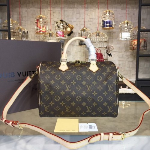 LOUIS VUITTON SPEEDY 30 3113