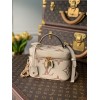 Louis Vuitton Vanity PM M45599