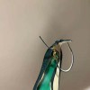Valentino Garavani Green Tan-Go Pump with Crystals 155mm Heels