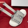 Dior Gray D- Wander Slide